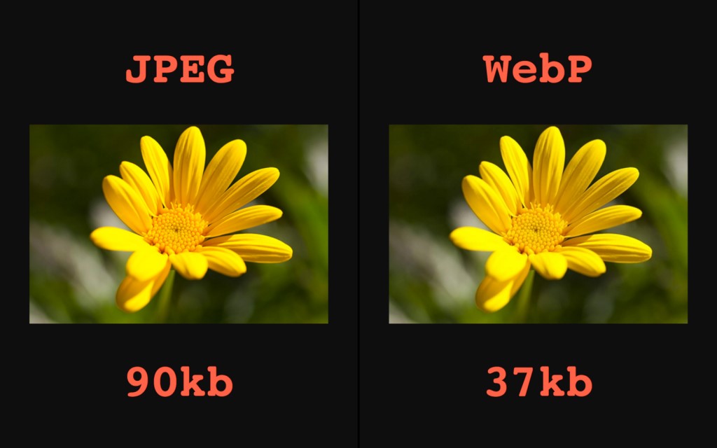 ลดความเร็วในการโหลดหน้าเว็บไซต์ jpeg-webp-flower